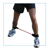 Side Stepper Heavy